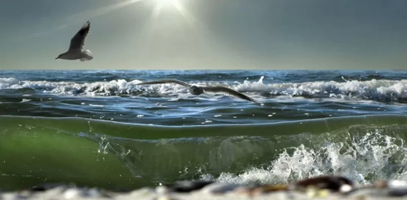 Арабатская Стрелка