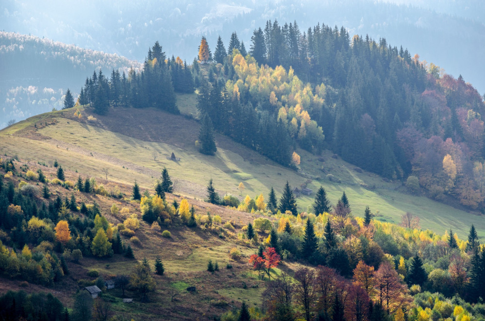 Верховина полонини