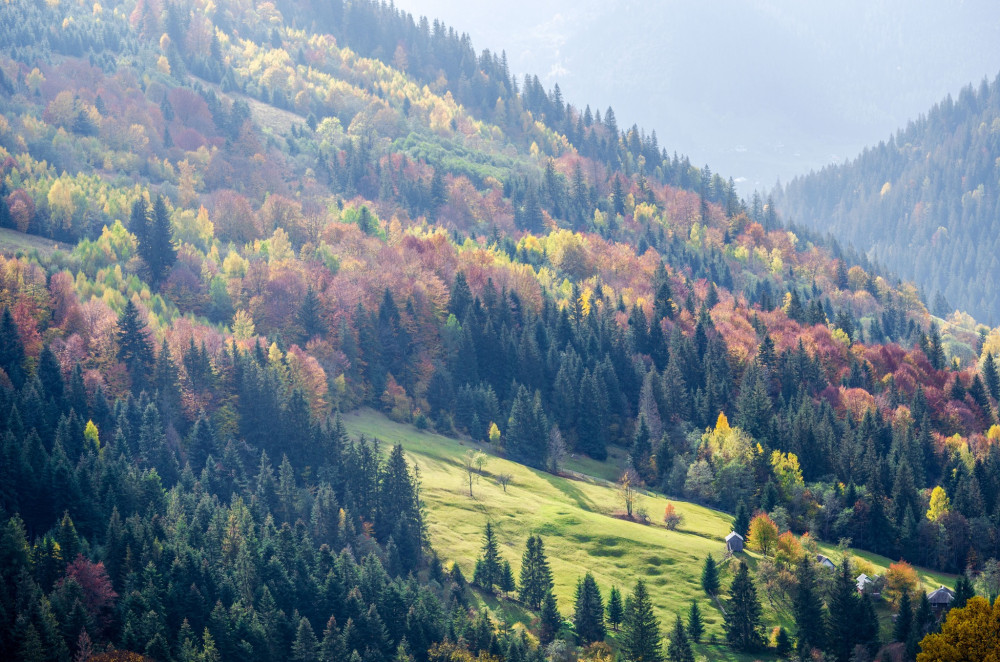 Відпочинок у Верховині: що варто знати, щоб гарно провести час