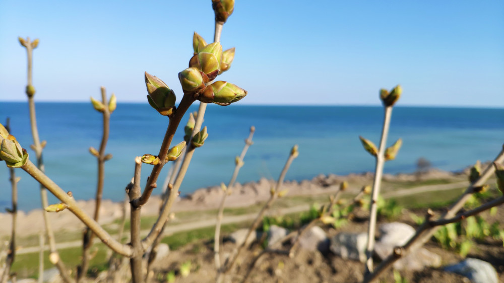 Чому Арабатська Стрілка – найкраще місце для травневих свят?