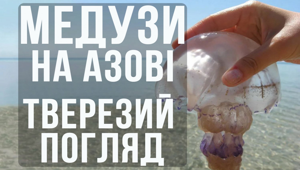Медузи на Азові - прагматичний погляд