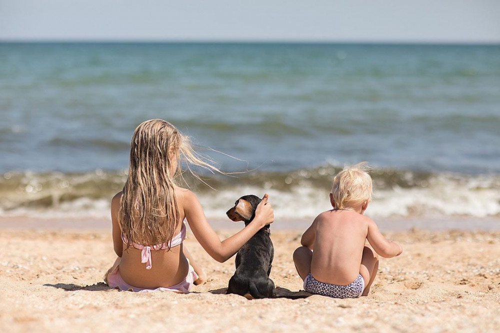 Особенности отдыха с детьми на Азовском море