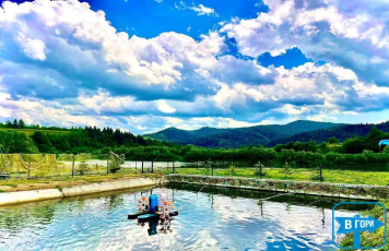 Форелевый Двор