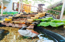 Вилла «Катерина»