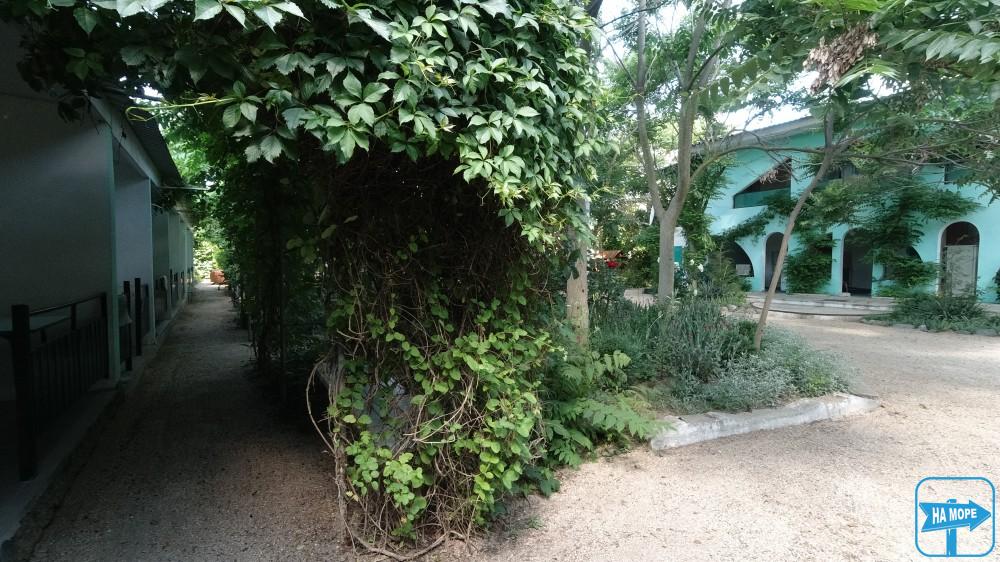 Мини-пансионат «Sim-Sim»