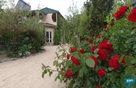 База отдыха "Первая линия на Морской"