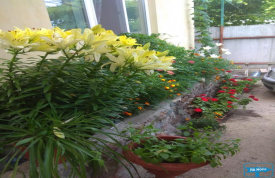 Мини пансионат "Южный ветер"