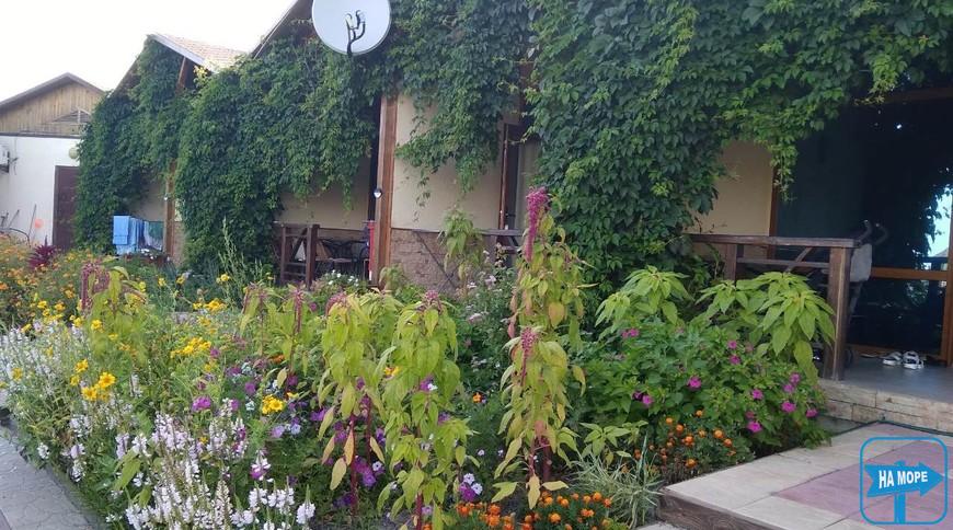 Пансионат "Oasis Beach Club"