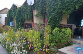 Пансионат "Oasis Beach Club"