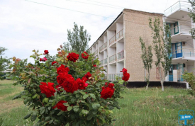 БАЗА ОТДЫХА «ЛАЗУРНЫЕ ДАЛИ»