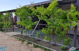 Гостевой дом "Рибальська 2"