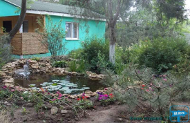 База отдыха "Оазис"