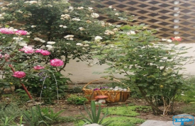 Мини-пансионат "Азовская роза"