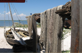 База отдыха "ТОРТУГА"