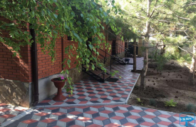 Мини-пансионат «Сосновый Бор»