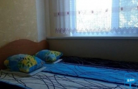 Пансионат "Елки-палки"