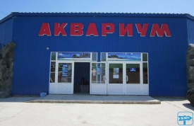 Аквариум в Кирилловке
