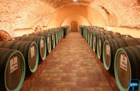 Центр культури вина "Шабо"