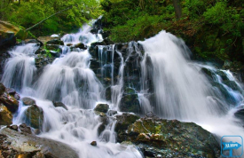 Драгобратський водоспад "Свидовець"