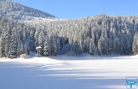 НОВОРІЧНА КАЗКА ЗАКАРПАТТЯ!