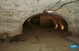 Комора та винний льох "Совине гніздо"