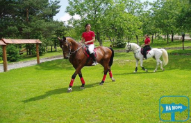 Конные прогулки "Золотая гора"