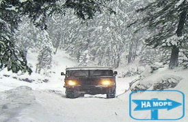 Приватні перевезення «Будинок Звіздарюка»