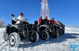 Прокат Яворник