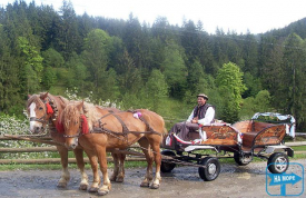 Конные прогулки в Верховине