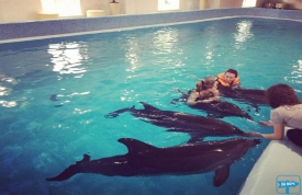 Дельфинарий Оскар