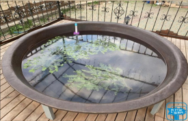 Сауна та чан в Ворохті - МiM