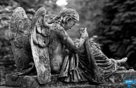 Лычаковское кладбище